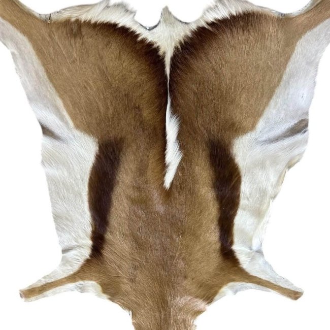 Game Hides