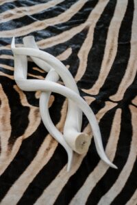 Kudu Horn Inners