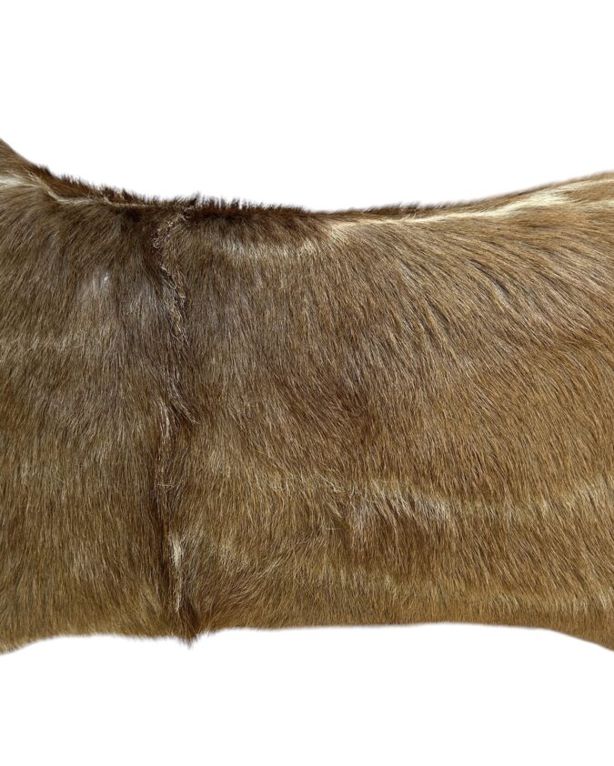 Cushion – Kudu Skin