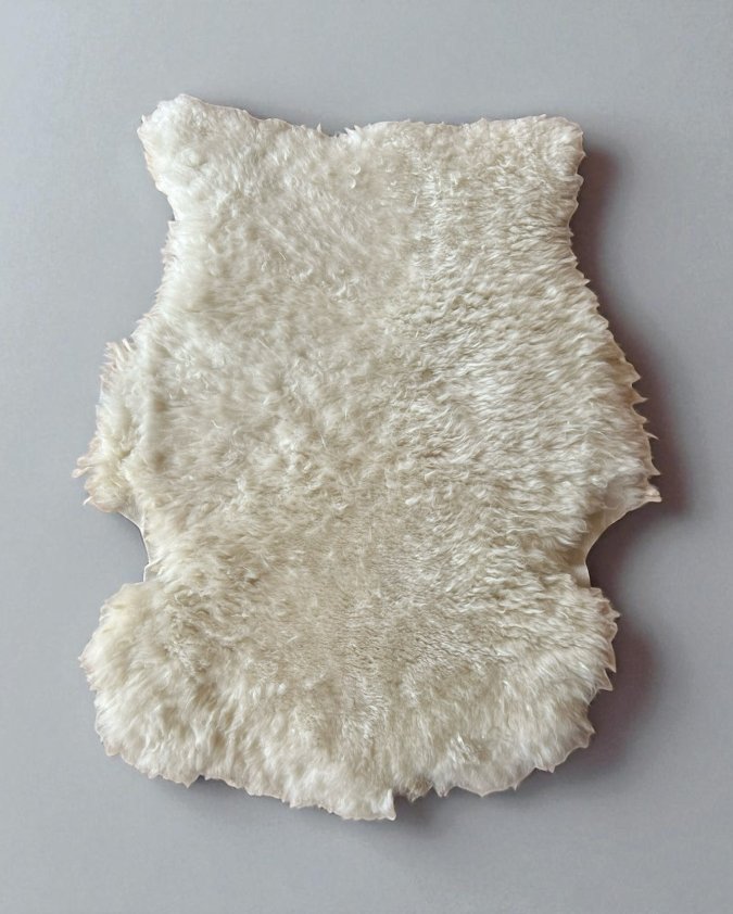 Sheep Skin