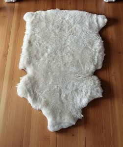 Sheep Skin