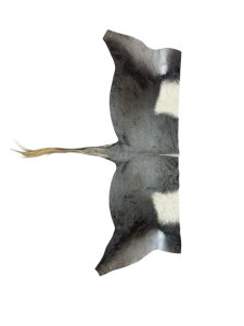 Konings Wildebeest Back Skin