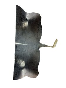 Konings Wildebeest Back Skin