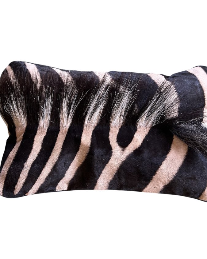 Cushion | Zebra Neck Front, Charcoal Back