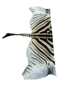 Zebra Back Skin Hide