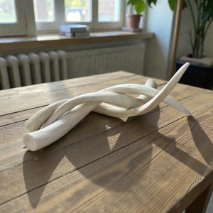 Kudu Horn Inners | Size: 500mm | Tag No: KHI002