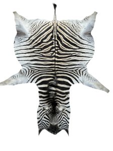 Zebra hide - B Grade
