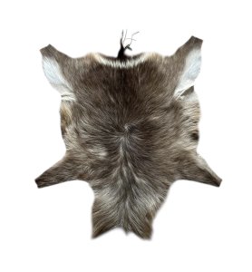 Waterbok Hide | Size: 1200x950mm | Tag No: 809