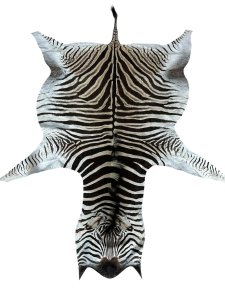 Zebra Hide B Grade