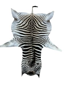 Zebra Hide B Grade