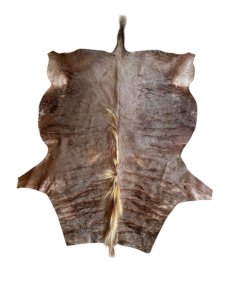 Golden Wildebeest Hide