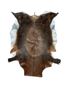 Blesbok Hide