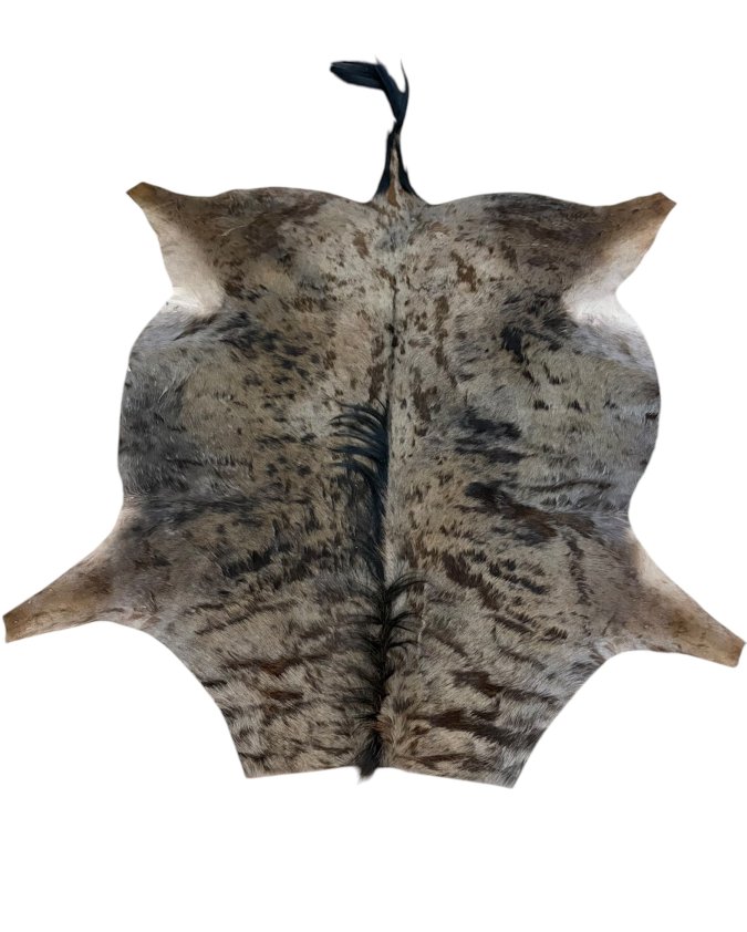 Blue Wildebeest Hide