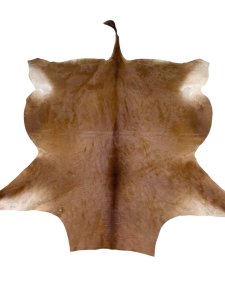 Nguni Hide