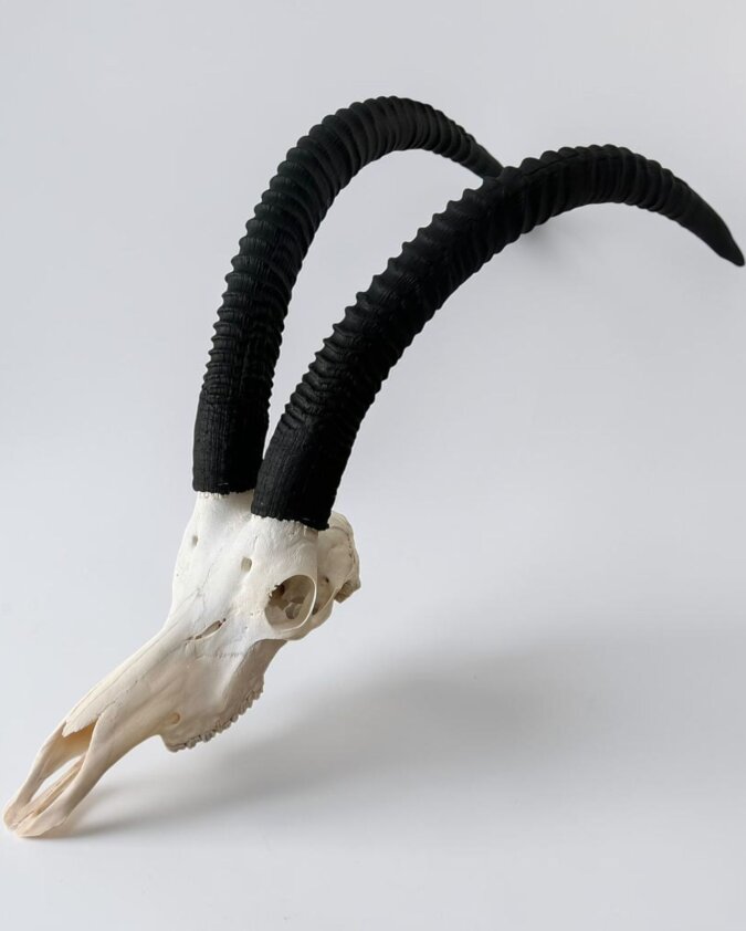 Sable Skull