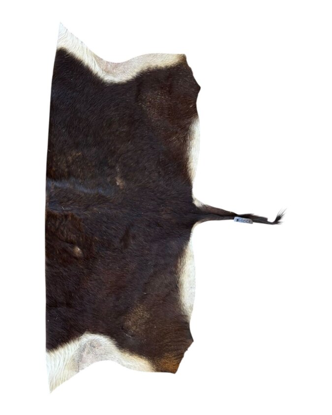 Sable Backskin