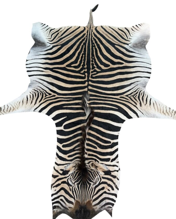 B Grade Zebra Hide