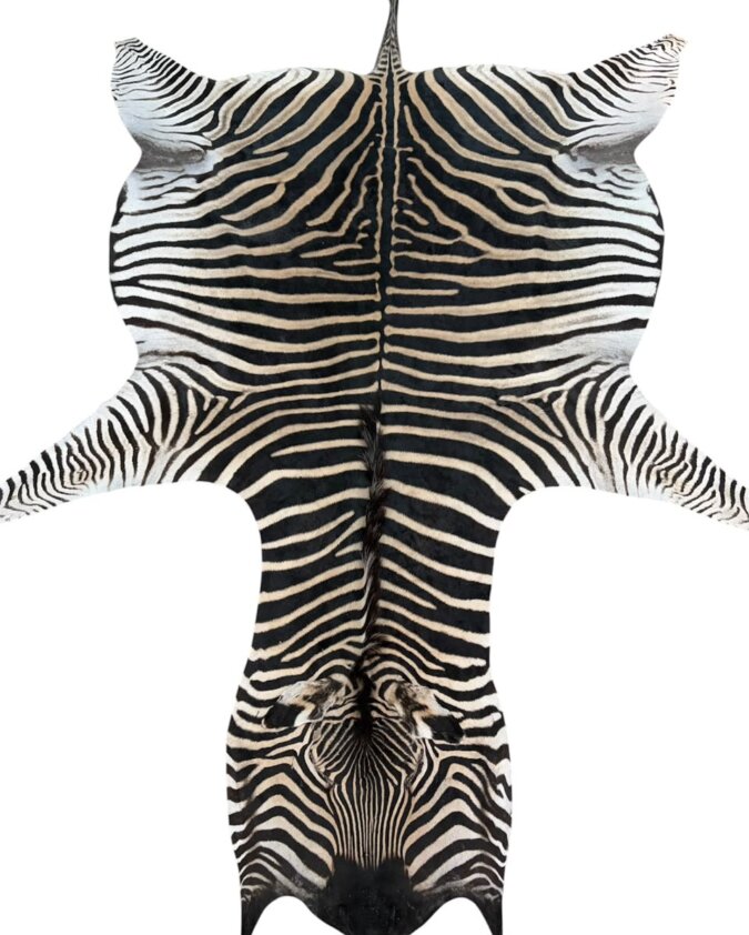 B Grade Zebra Hide