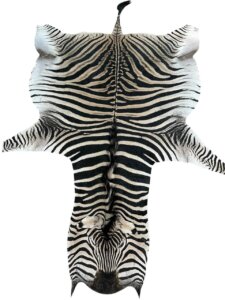 Zebra hide