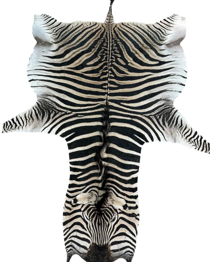 Zebra hide