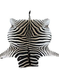 B Grade Zebra Hide
