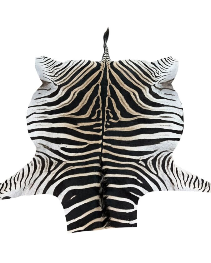 B Grade Zebra Hide