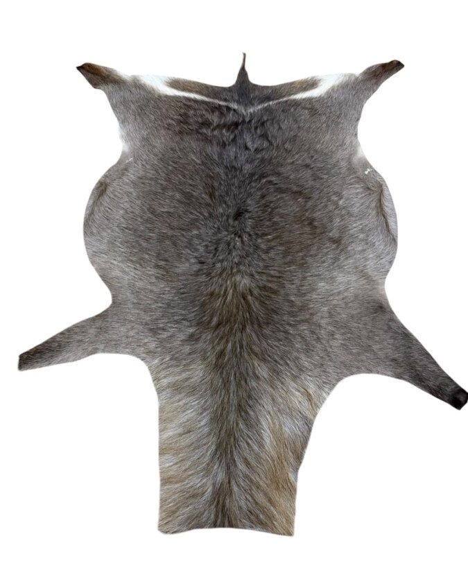 Waterbok Hide