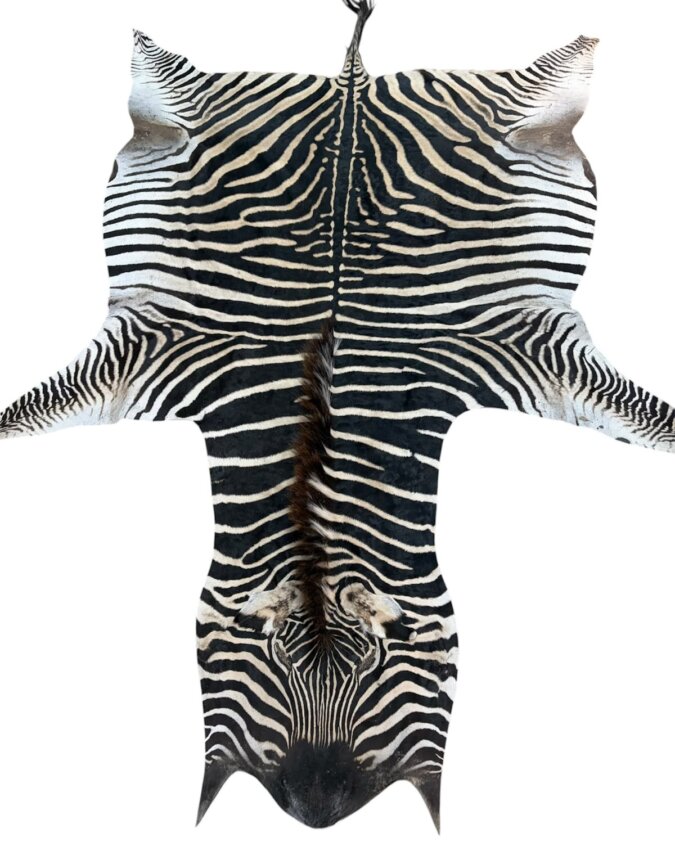 B Grade Zebra Hide